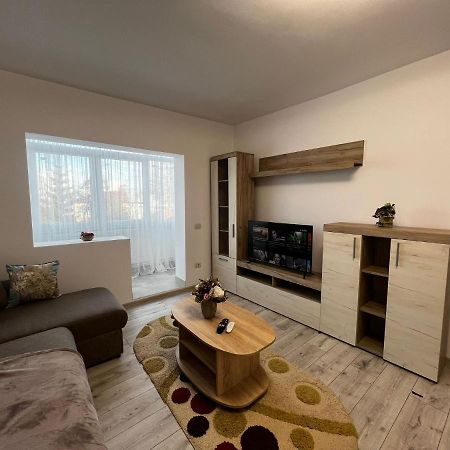 Cozy Urban Accommodation In Beautiful Suceava Exterior photo