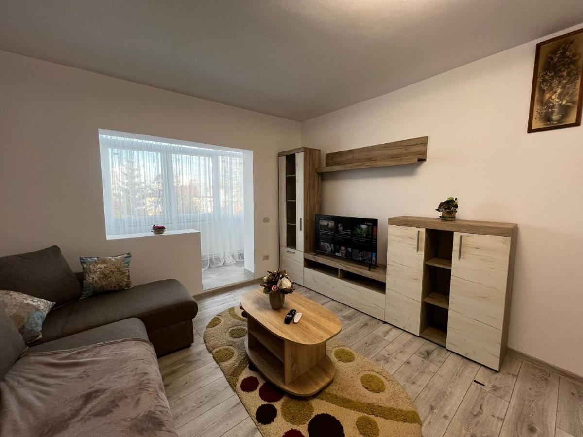 Cozy Urban Accommodation In Beautiful Suceava Exterior photo